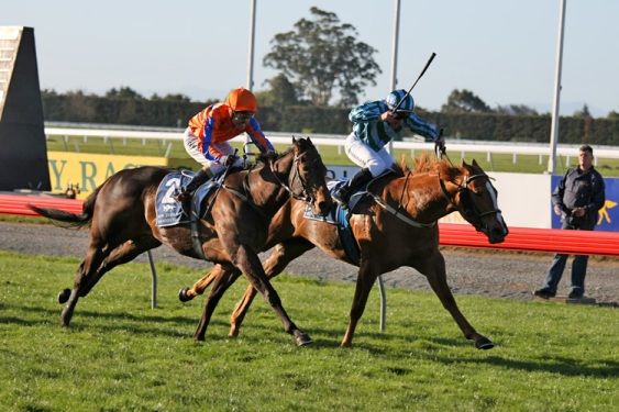 brown eyed grace cant belle 1